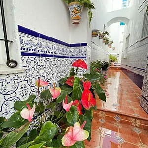 Pacoplaza Conil De La Frontera